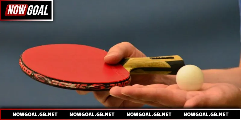 Đánh giá chuyên sâu dữ liệu thi đấu